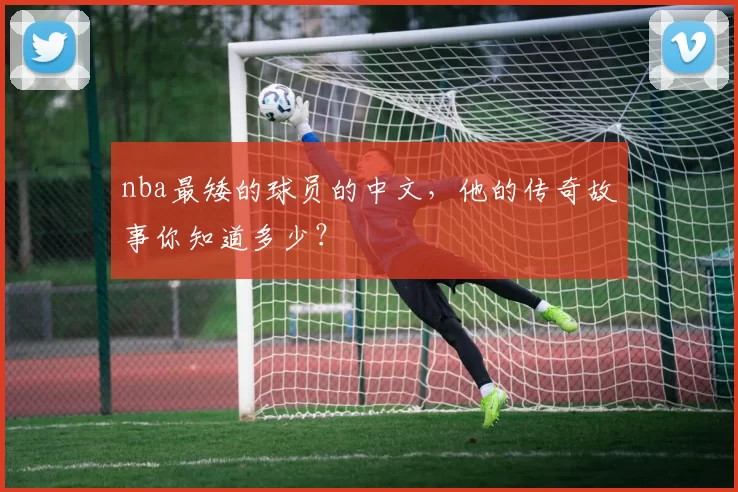 nba最矮的球员的中文，他的传奇故事你知道多少？