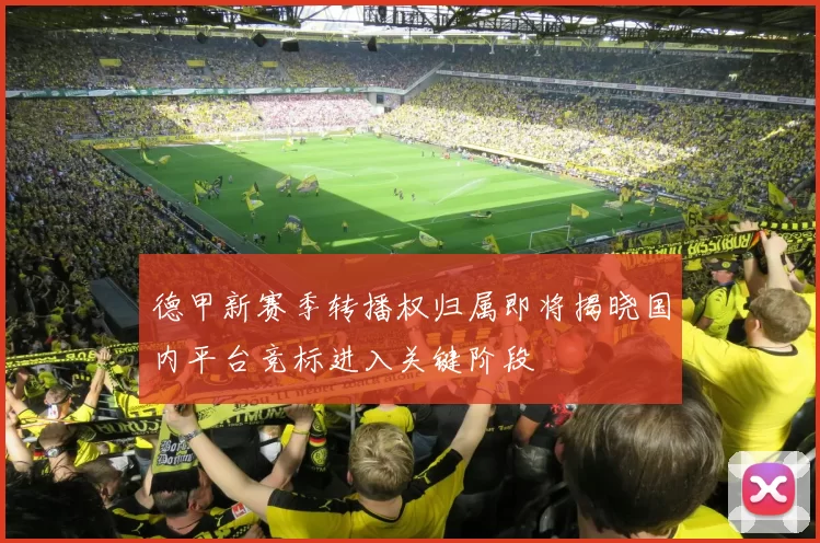 德甲新赛季转播权归属即将揭晓国内平台竞标进入关键阶段