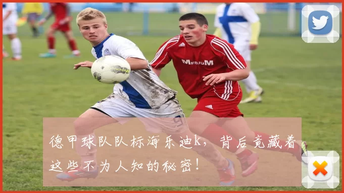 德甲球队队标海乐迪k，背后竟藏着这些不为人知的秘密！